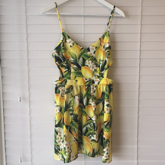 Show Me Your Mumu Dress - Picture 3 of 6